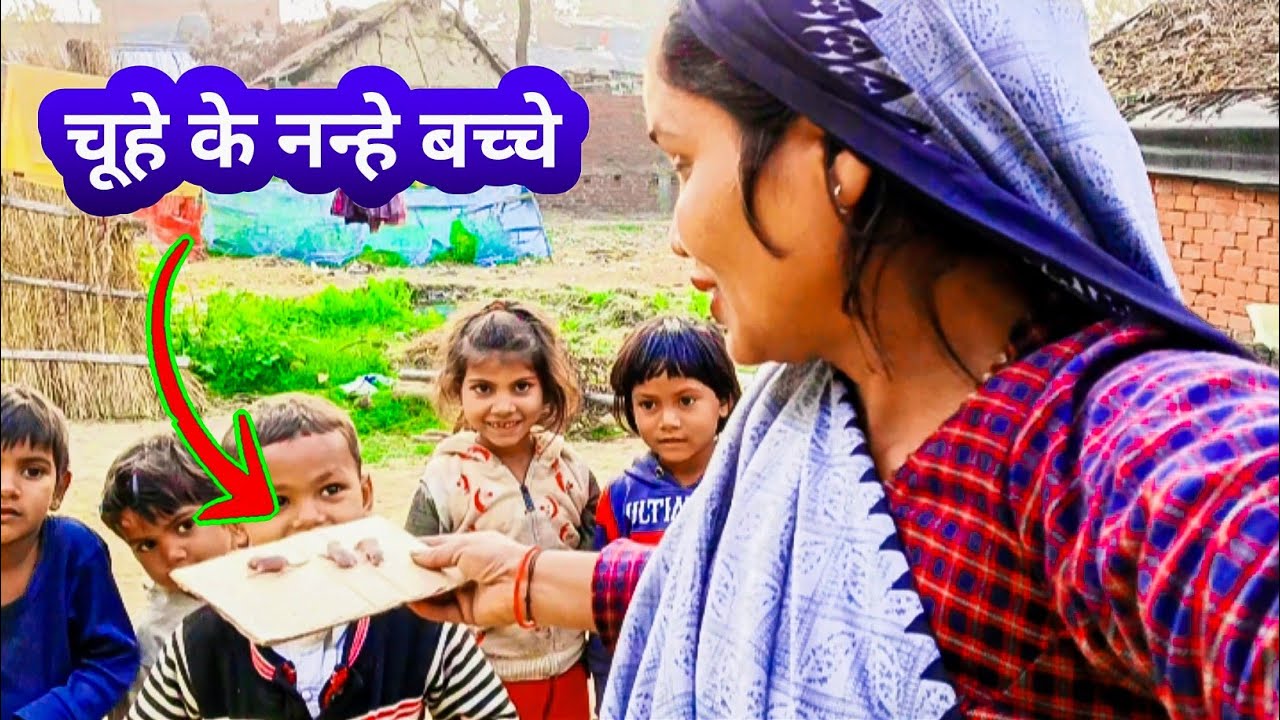 हमारे घर पर आए गांव के बच्चे और मिल गए चूहे के बच्चे 😂🤣 | Phoolmati Official 