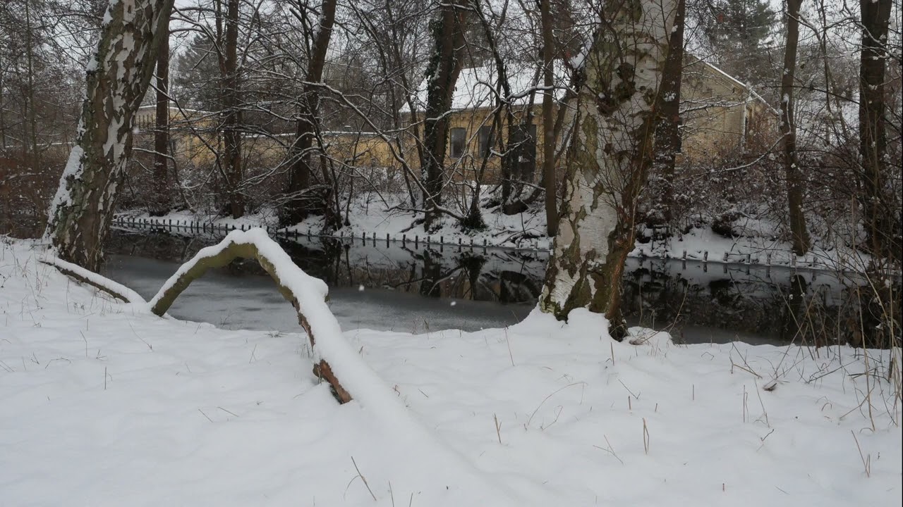 Still Waters in the Cold