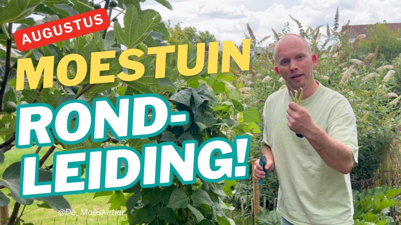 🌱 Moestuin Rondleiding Begin Augustus | Wat groeit er nu? | De Moesketier