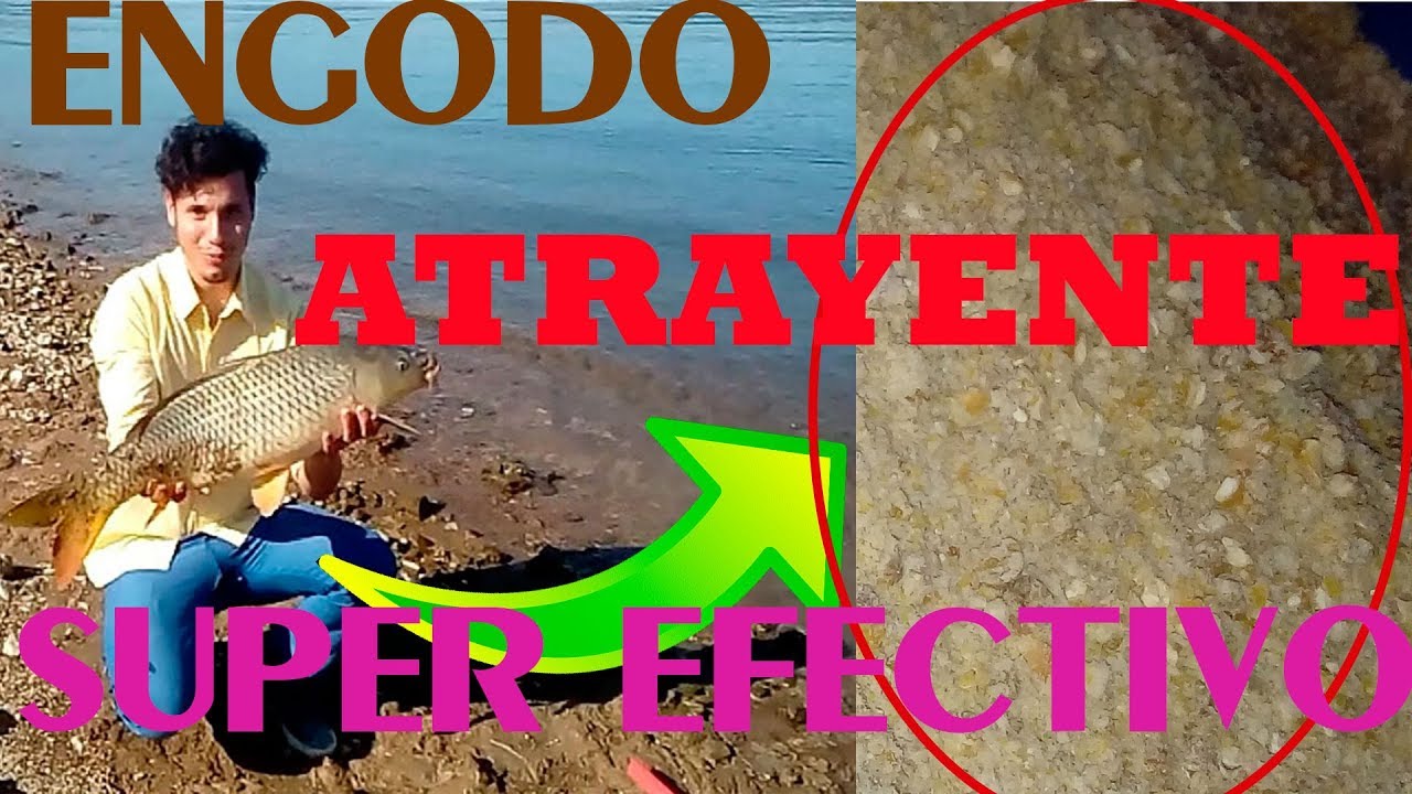 SUPER ENGODO 100% EFECTIVO