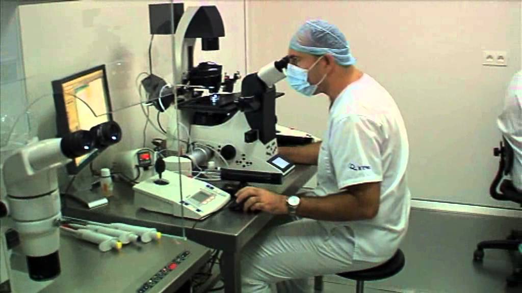 l'insémination artificielle, fécondation in vitro,, la procréation assistée, spagne