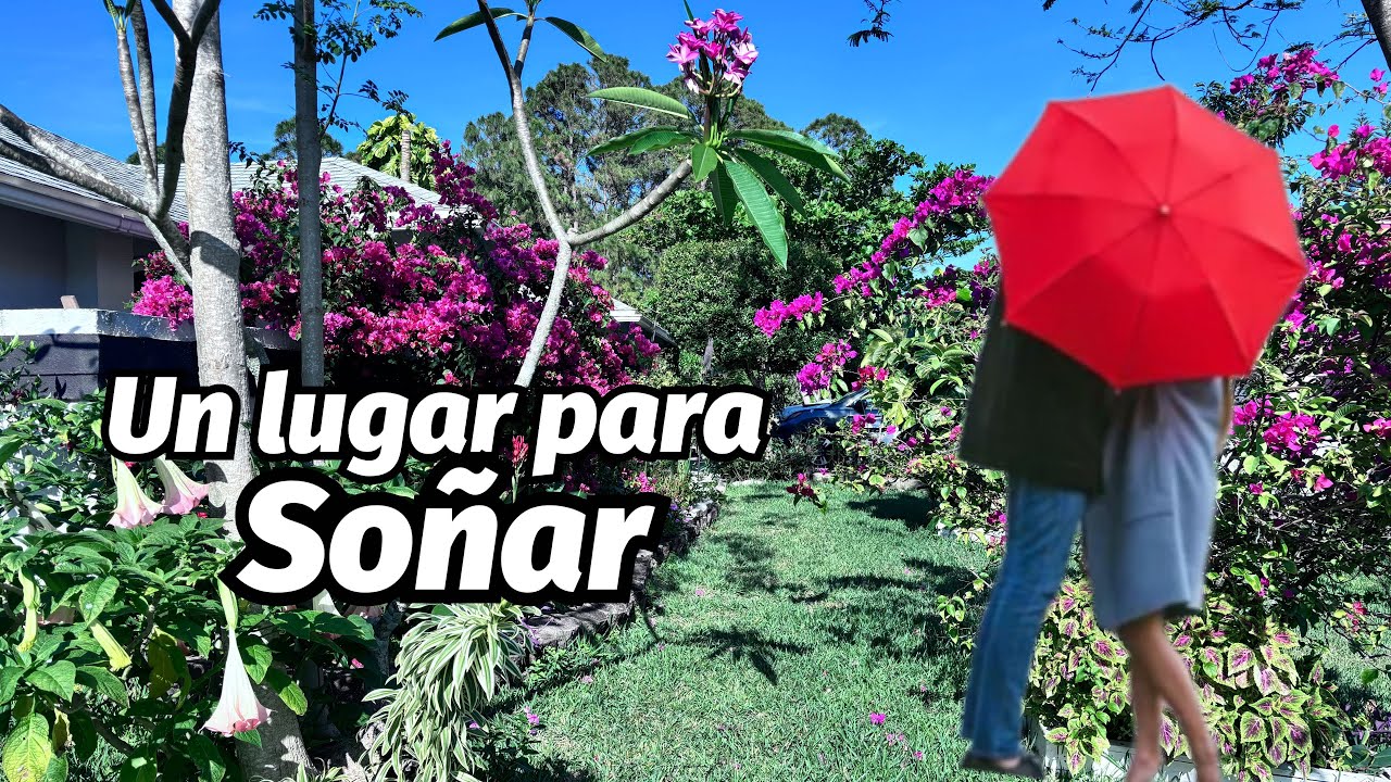 Un Martes en Casa y  Un Tour  por El Rincón de mis Sueños 🏠🪴🌱🌸