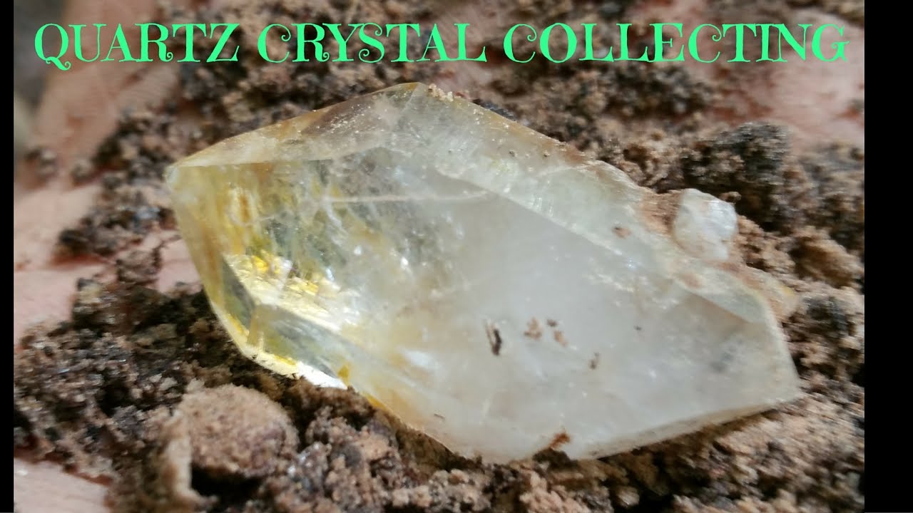 Quartz Crystal Digging! Virginia 2015