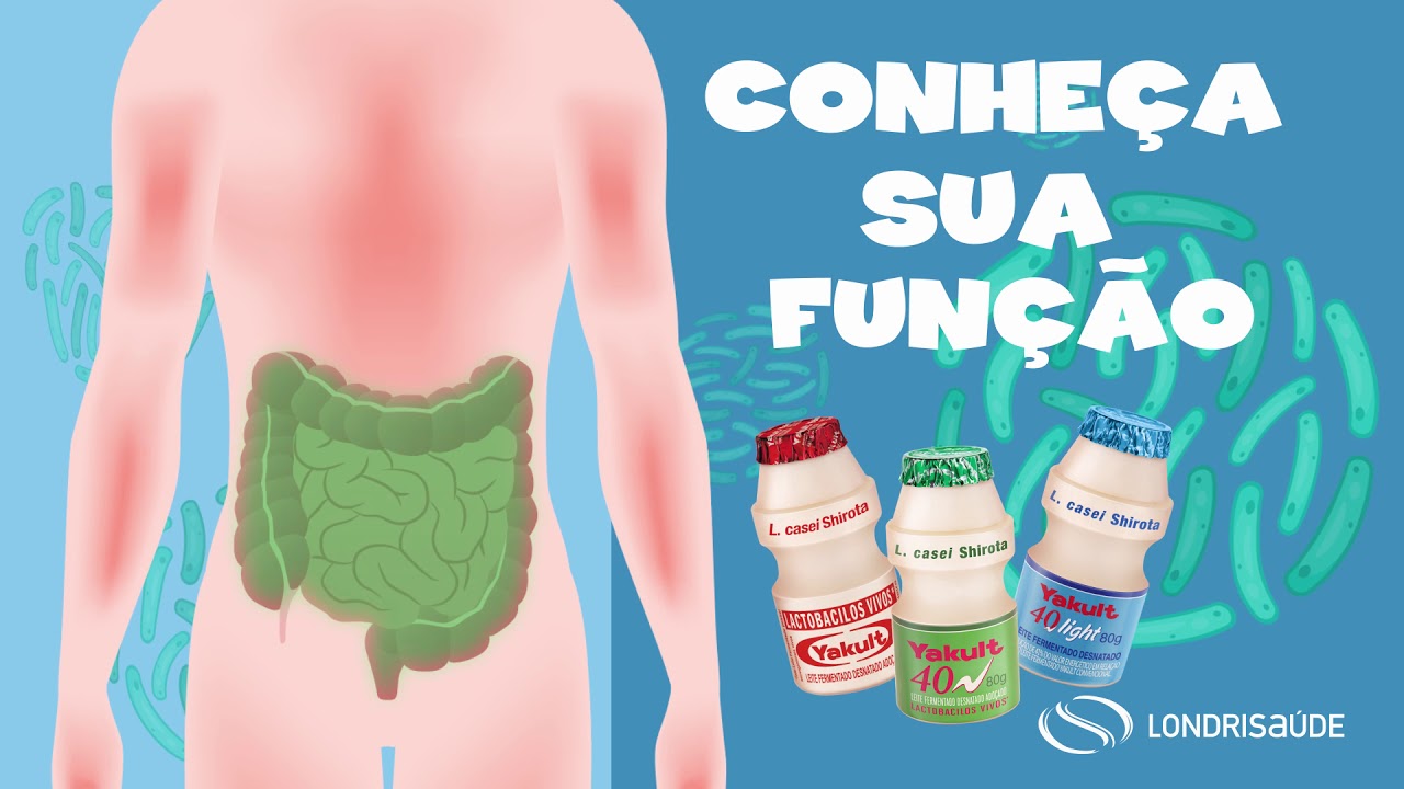 Probi&oacute;ticos: Conhe&ccedil;a sua fun&ccedil;&atilde;o