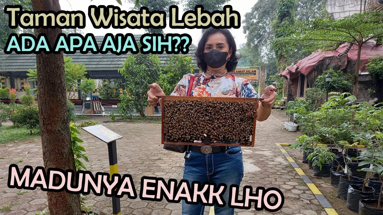 Di Taman Wisata Lebah Cibubur