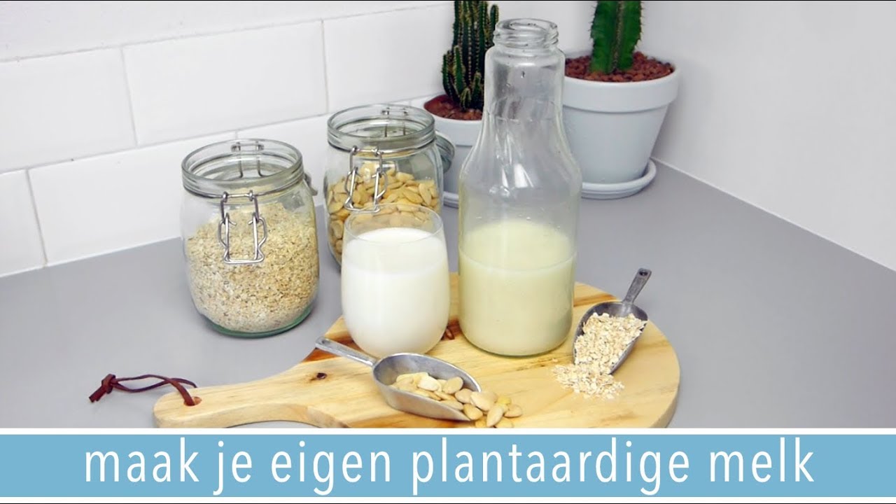 Maak je eigen plantaardige melk🥛- amandelmelk & havermelk recept | RENSKE VISSER GEWICHTSCONSULENT