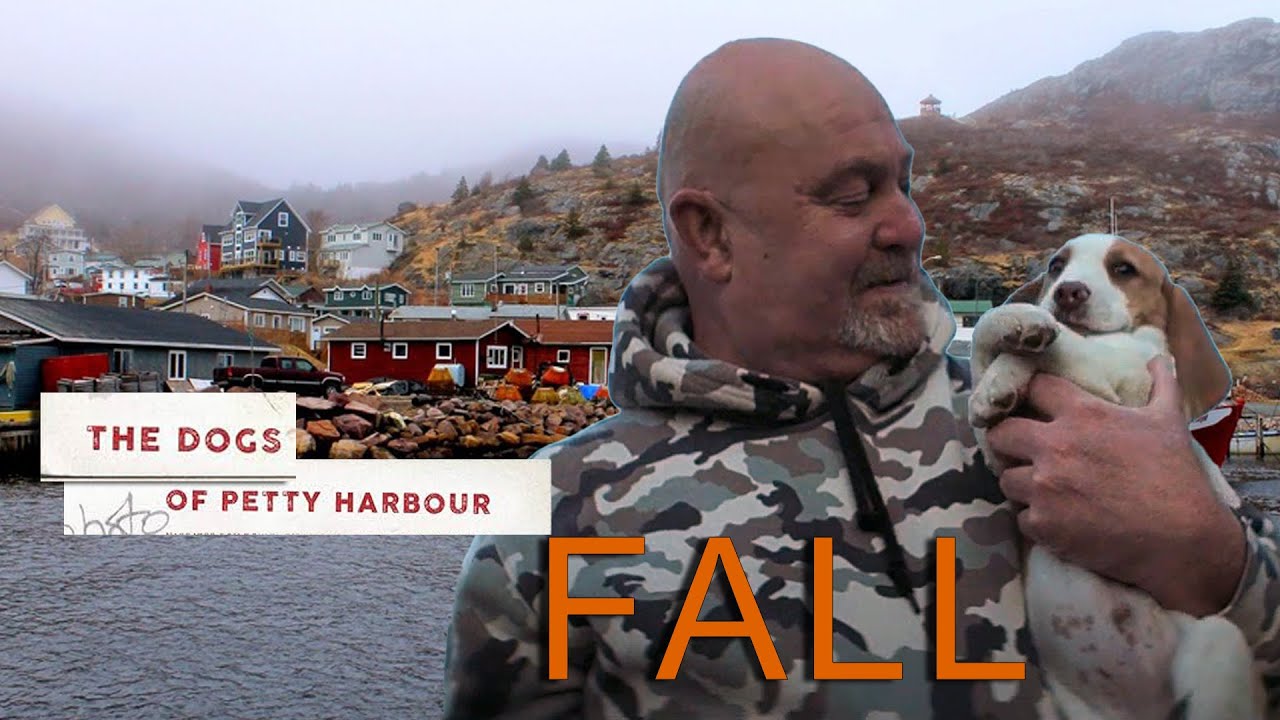 The Dogs Of Petty Harbour - Fall (EP4)