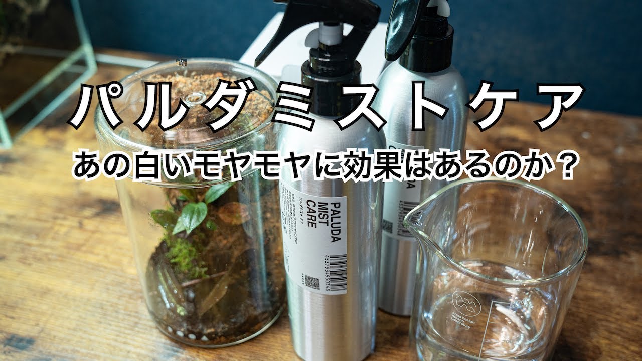 【ADA LAB新製品】パルダミストケアはピシウムに効くのか？ PALUDA MIST CARE／BEAKER GLASS【パルダリウム】