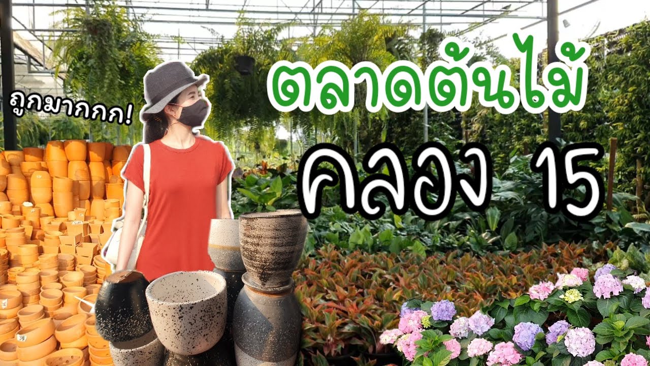 ตะลุย ตลาดต้นไม้คลอง15 | พักกายพักใจ | EP.22 By พยาบาลใส่ใจ