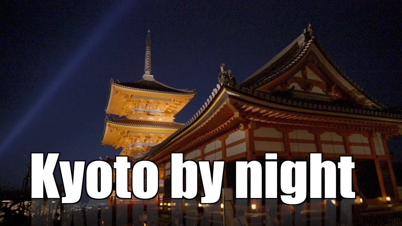 Kyoto Higashiyama Spring Light Up