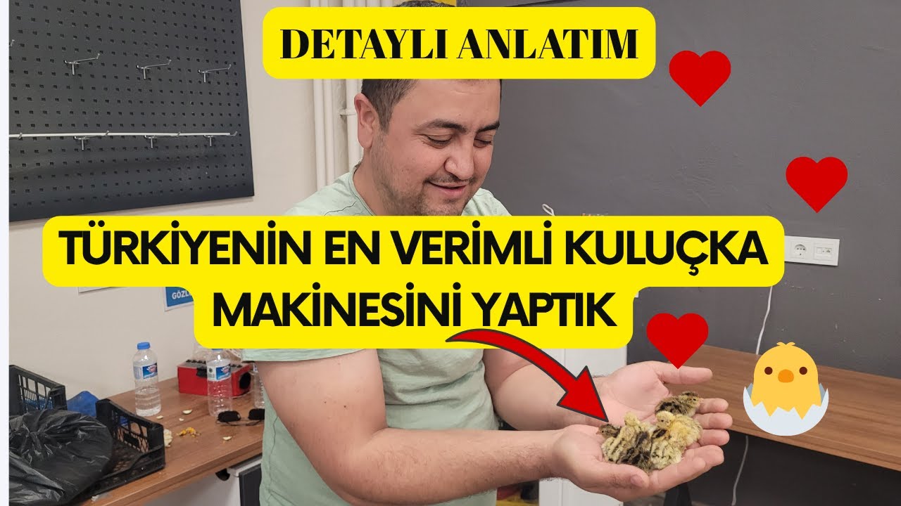 Eski Buzdolabını Nasıl Kuluçka Makinesine Çevirdim !