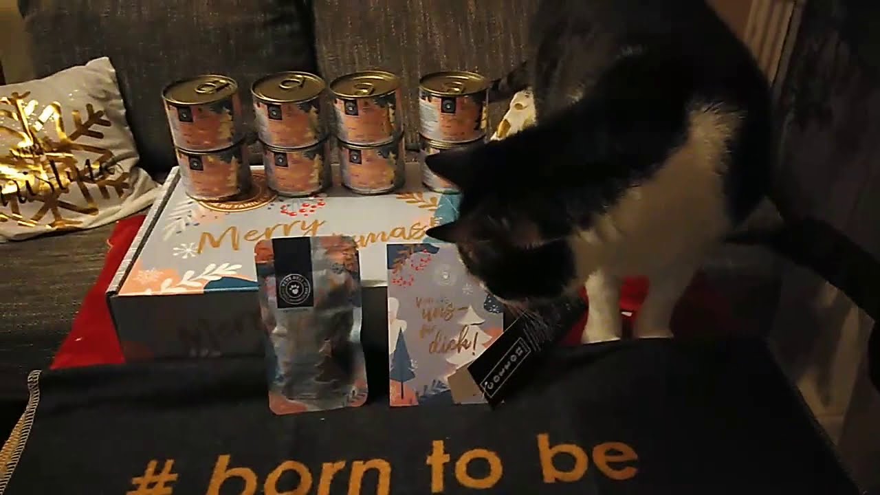 Petsdeli Winterbox