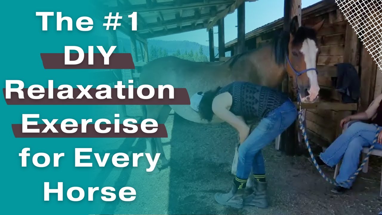 Equine Hanna Somatics - Initial Pick-ups Exercise for helping horses relax their muscles safely