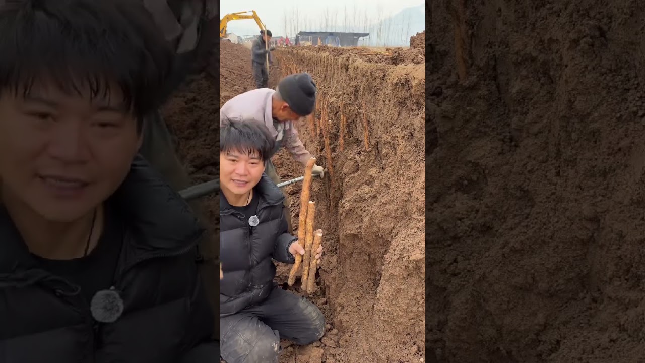 Over thousands of miles, under thousands of miles