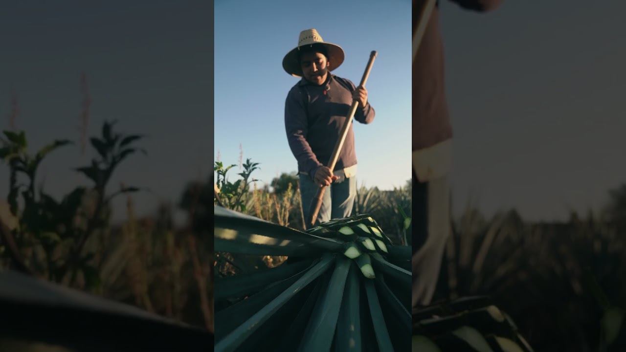 mexican culture