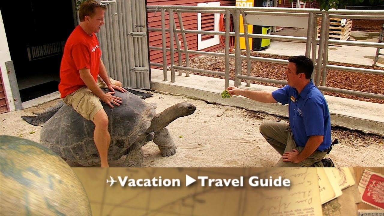 Miami Jungle Island ✈Travel Guide