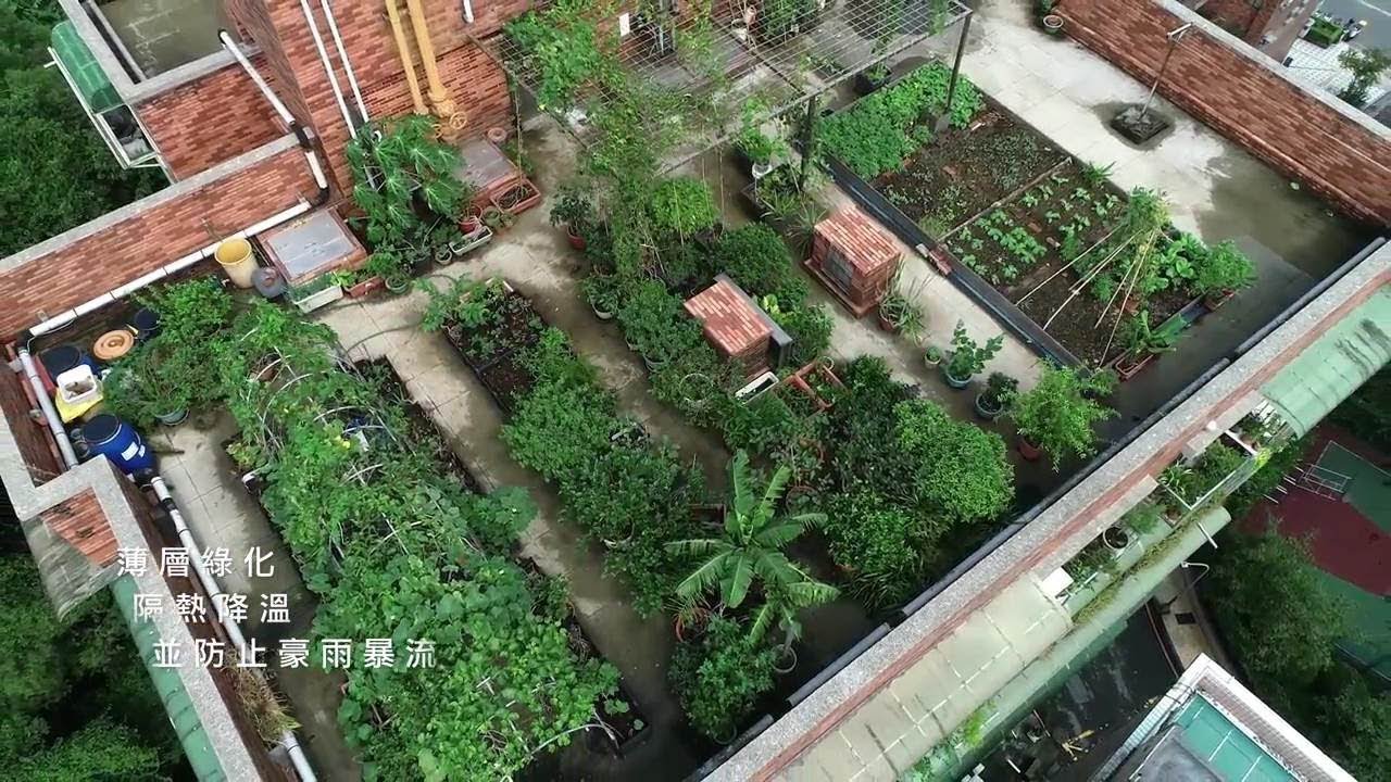 新北經驗17.《屋頂農園的魔力》The Magic of Rooftop Farms