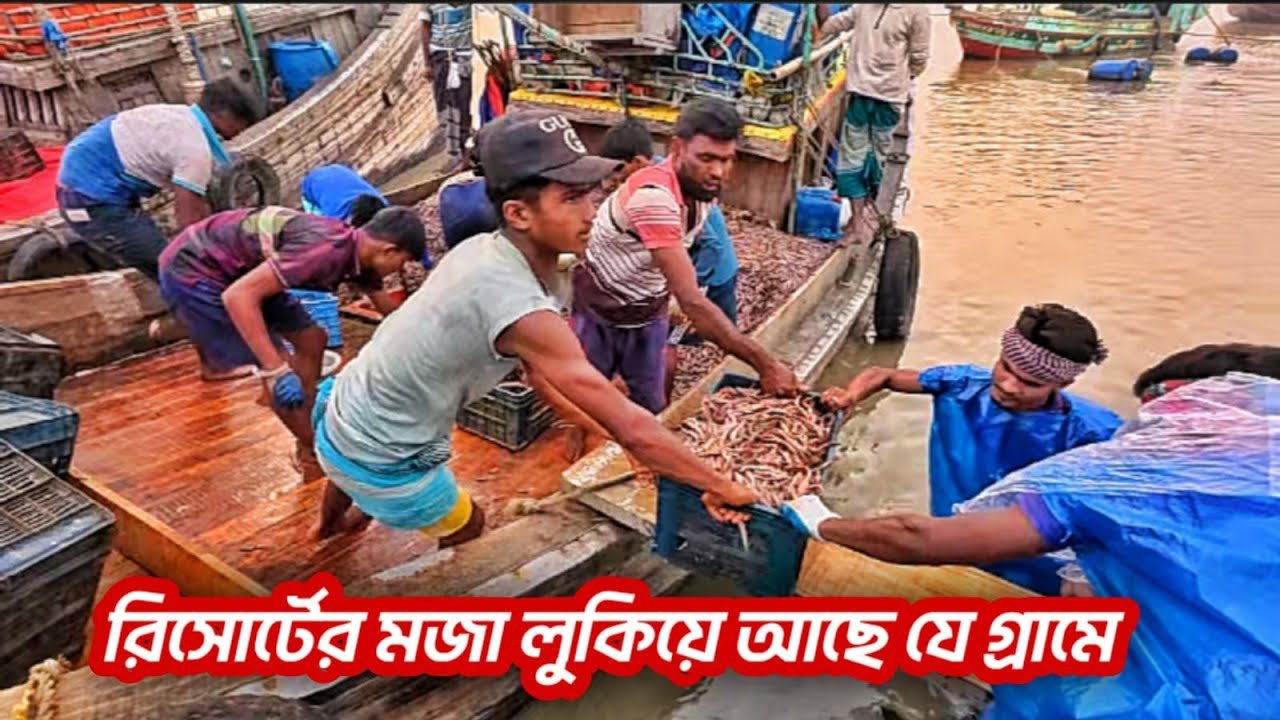মোহনার মাছ আর মহিষের দধি খেতে গেলাম শিবচরণ গ্রামে🌳 The Beauty of Shivcharan Village | Subarnachar 