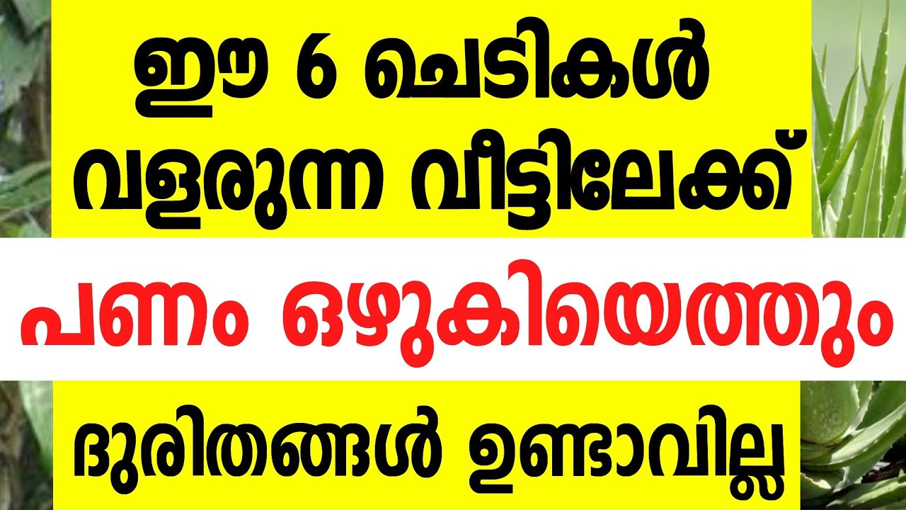 നിങ്ങളെ കോടീശ്വരന്മാരാക്കും ഈ 6 ഭാഗ്യച്ചെടികൾ,വാസ്തു തെളിയിച്ച സത്യം vastu tips malayalam