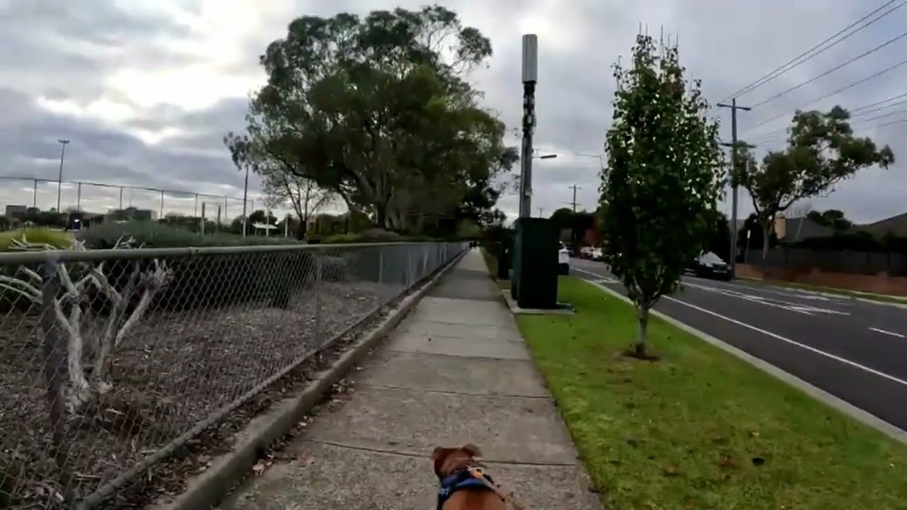 Walking Murrumbeena Park, Murrumbeena, Melbourne, Victoria, Australia