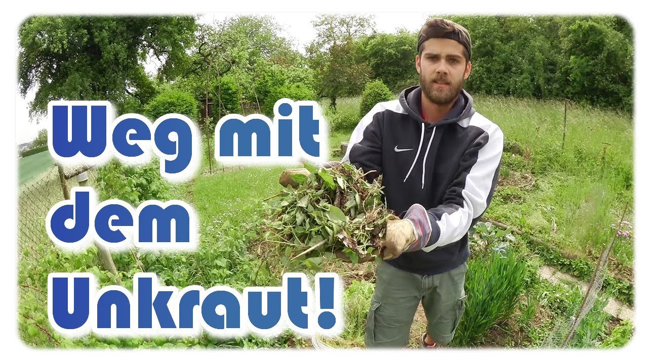 Unkraut im Garten | Unkraut entfernen, ernten & aufr&auml;umen