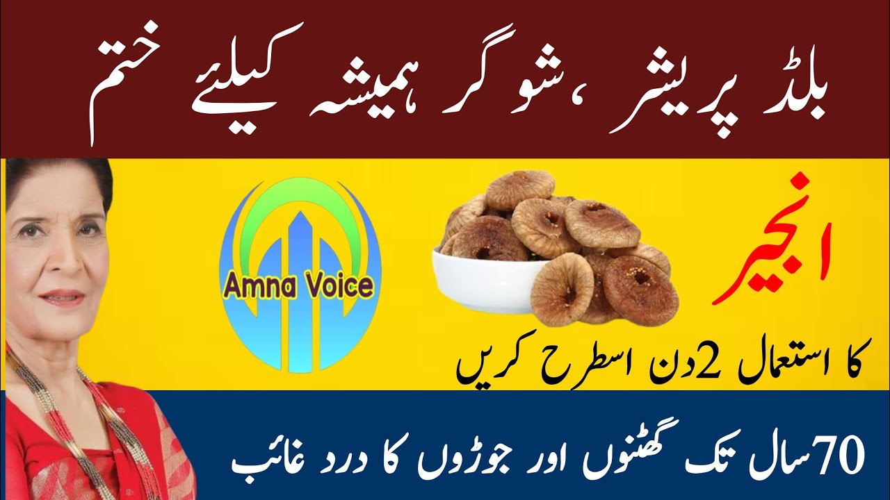 Quotes About life | Rumi Quotes in Urdu | Motivational Islamic Quotes | Golden Words | Hazrat Ali