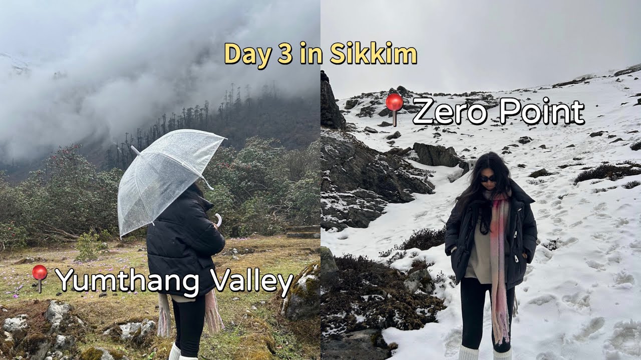 The final episode || Sikkim in April || Day 3~ Yumthang Valley & Zero point from Lachung