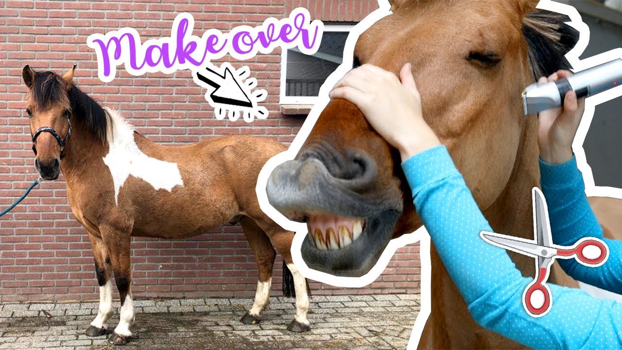 MARLEY KRIJGT EEN MAKEOVER! | felinehoi