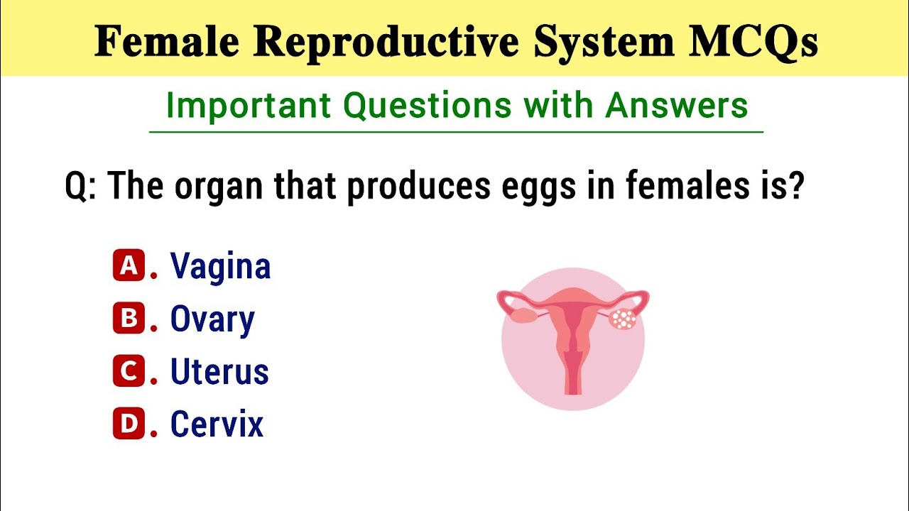 Female Reproductive System Mcq | Female Reproductive Questions and Answers | Reproduction mcq
