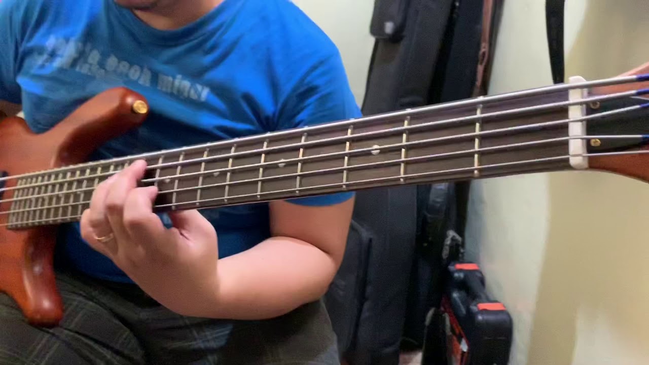 SX bass с предусилителем Final Shape