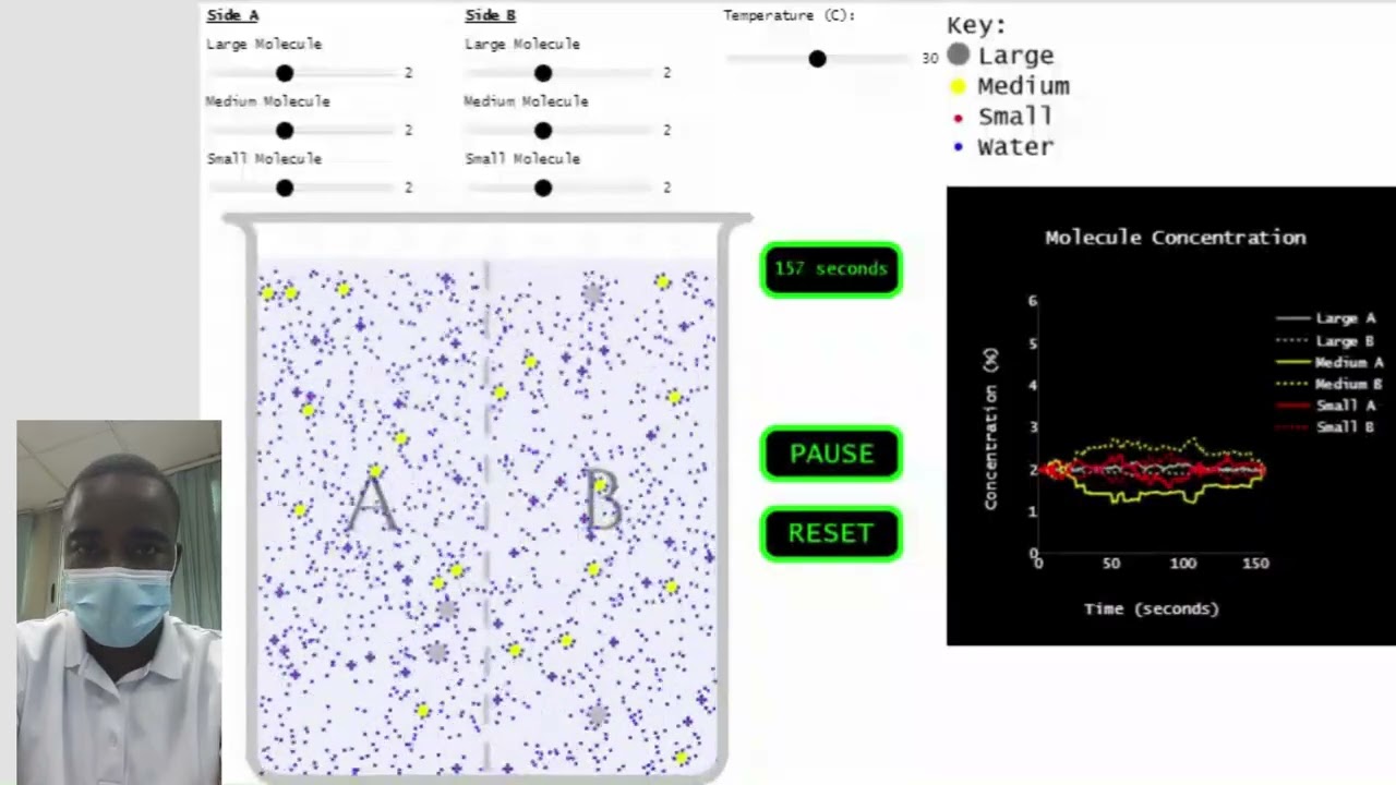 Molecule Movement Across a Semipermeable Membrane simulation | Science Experiment