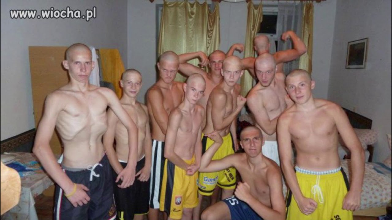 Rest Dixon37 x Maryla Rodowicz - Łobuz (Aljen Blend)