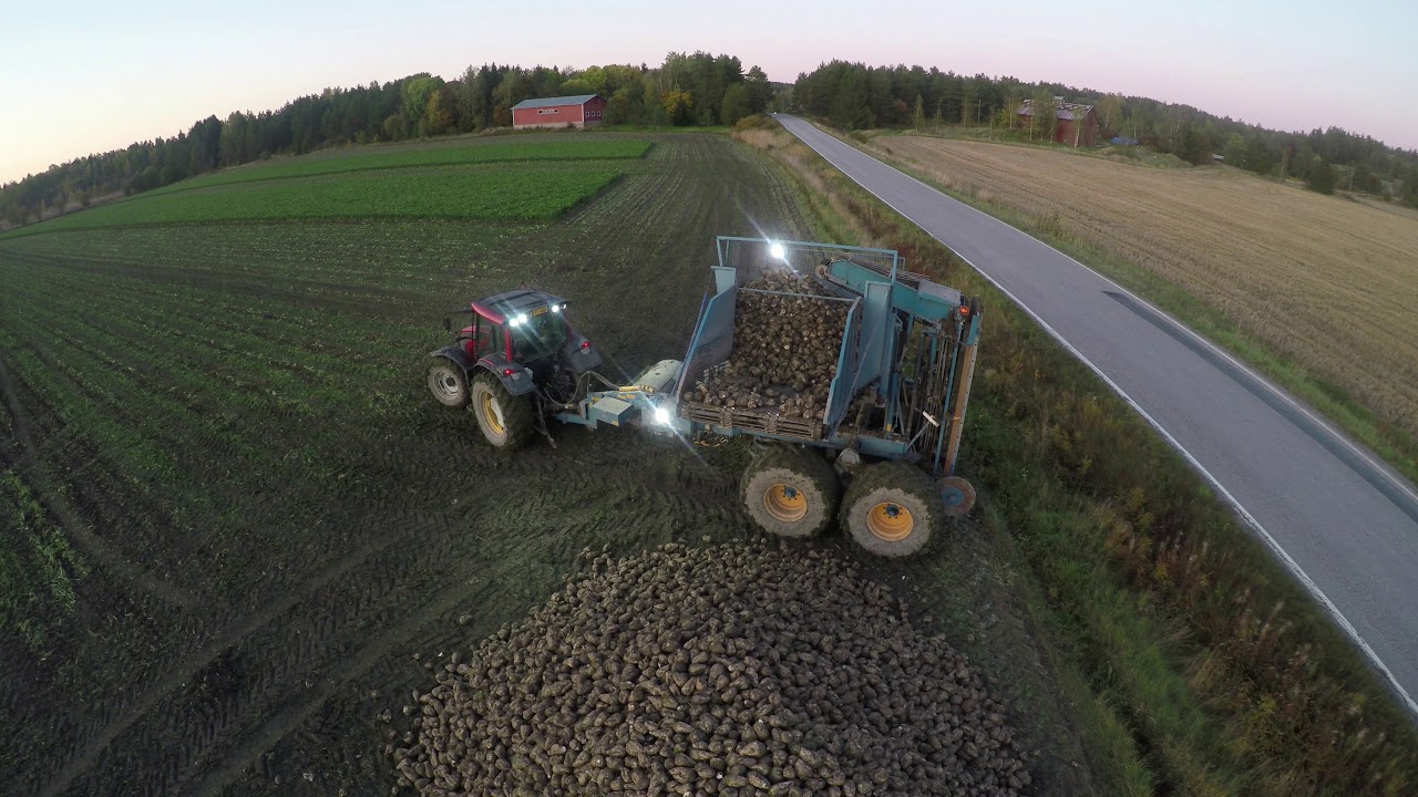GoPro Karma - juurikkaan nostoa 2019