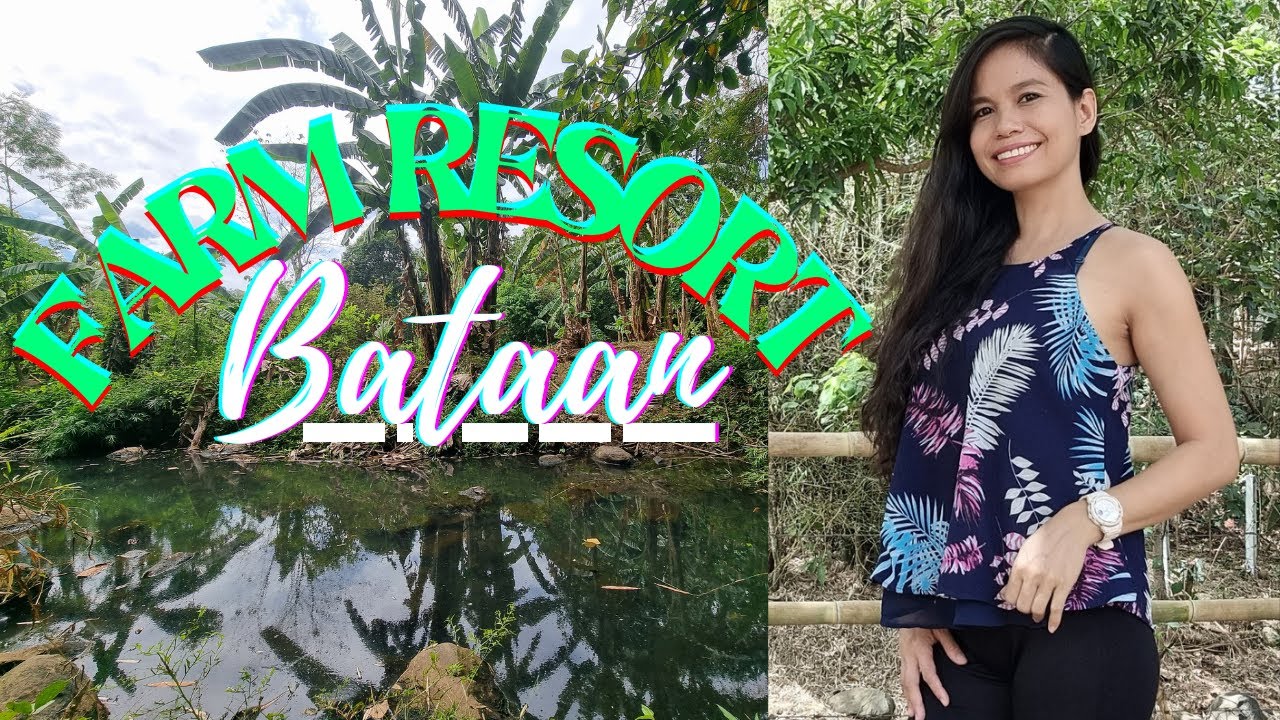 8-HECTARE FARM FOR SALE in HERMOSA, BATAAN with ABUNDANT FRUIT-BEARING TREES// BEST USE: FARM RESORT