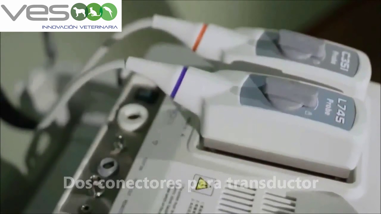 SonoScape A6 - Equipo de ecografía