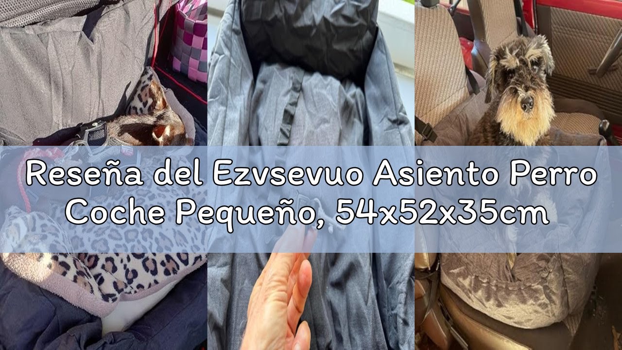 Reseña del Ezvsevuo Asiento Perro Coche Pequeño, 54x52x35cm - Cama Perro de Tela Oxford con Cojín De