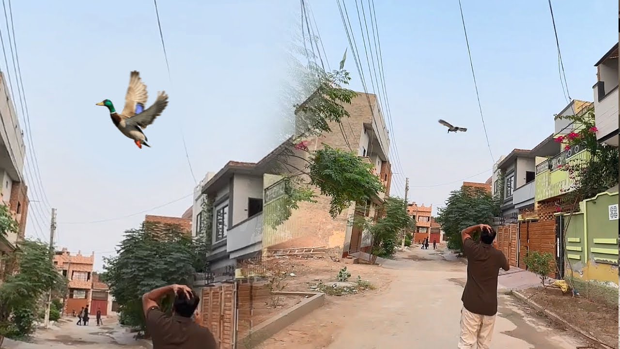 Flying Duck Aj Udne Lagi😅