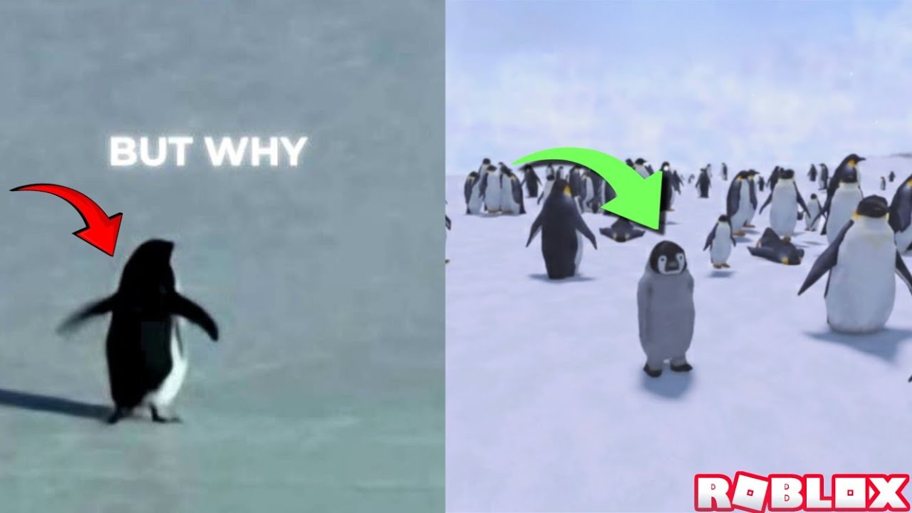 BUT WHY? 