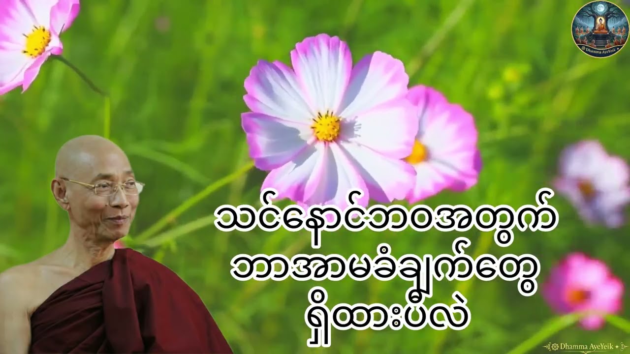 နောင်ဘဝအတွက်ဘာအာမခံချက်တွေရှိထားပီလဲ