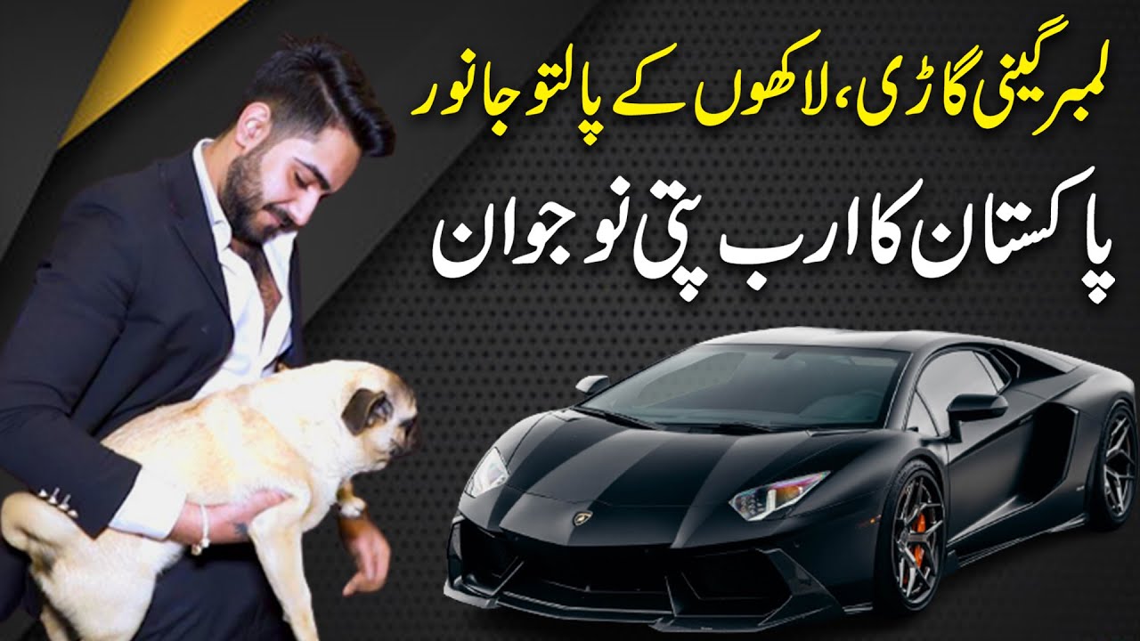 Автомобиль Lamborghini, домашние животные стоимостью в сотни тысяч долларов, молодой человек из а...