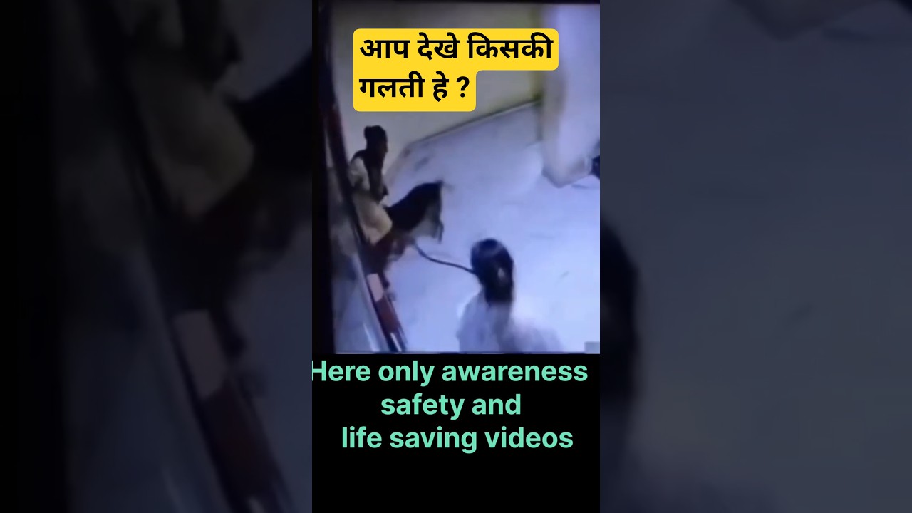 #dog