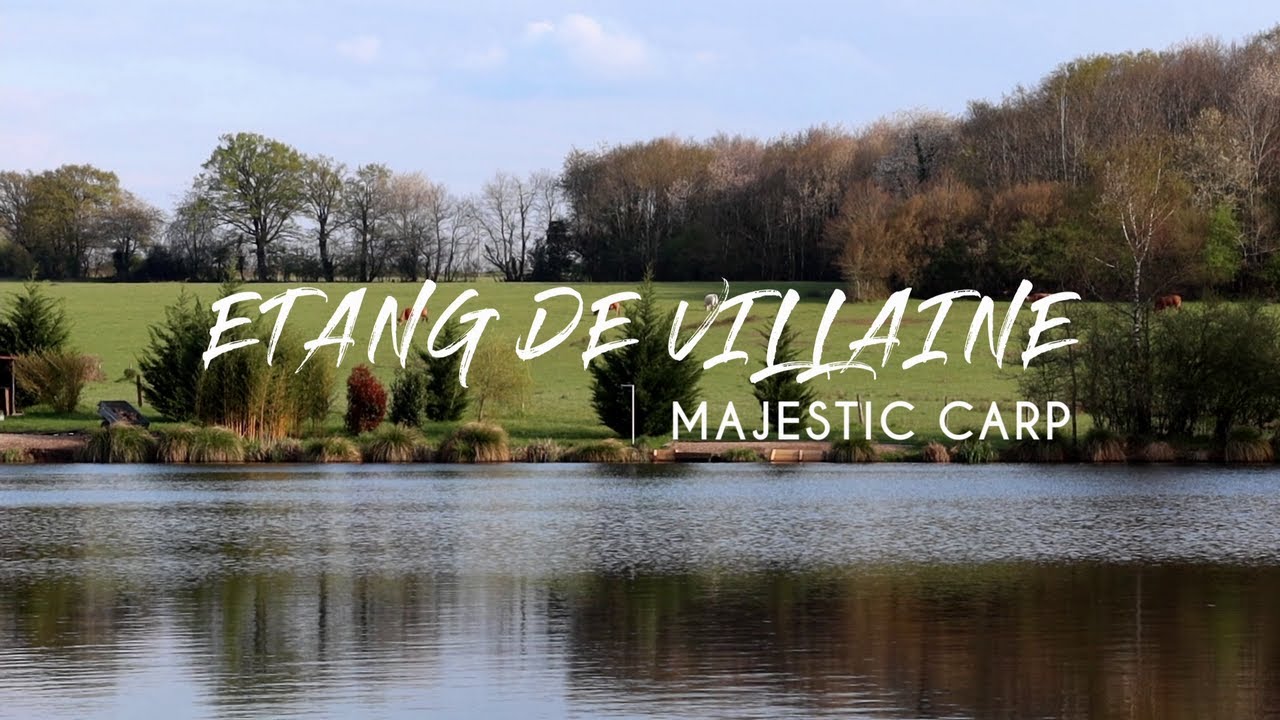 Etang de Villaine - Majestic Carp