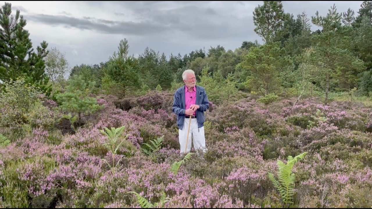Story of the Bogs - Part 2 - with John Feehan