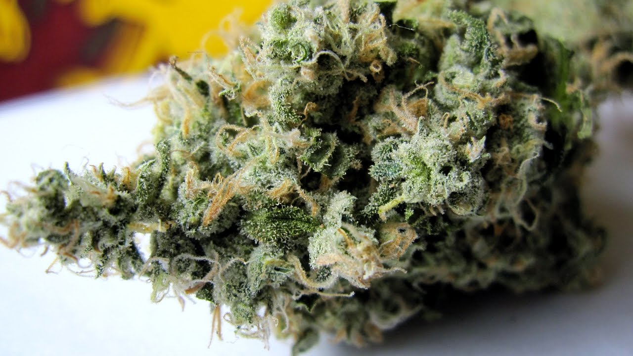 PIX OF THE CROP: 03.16.17