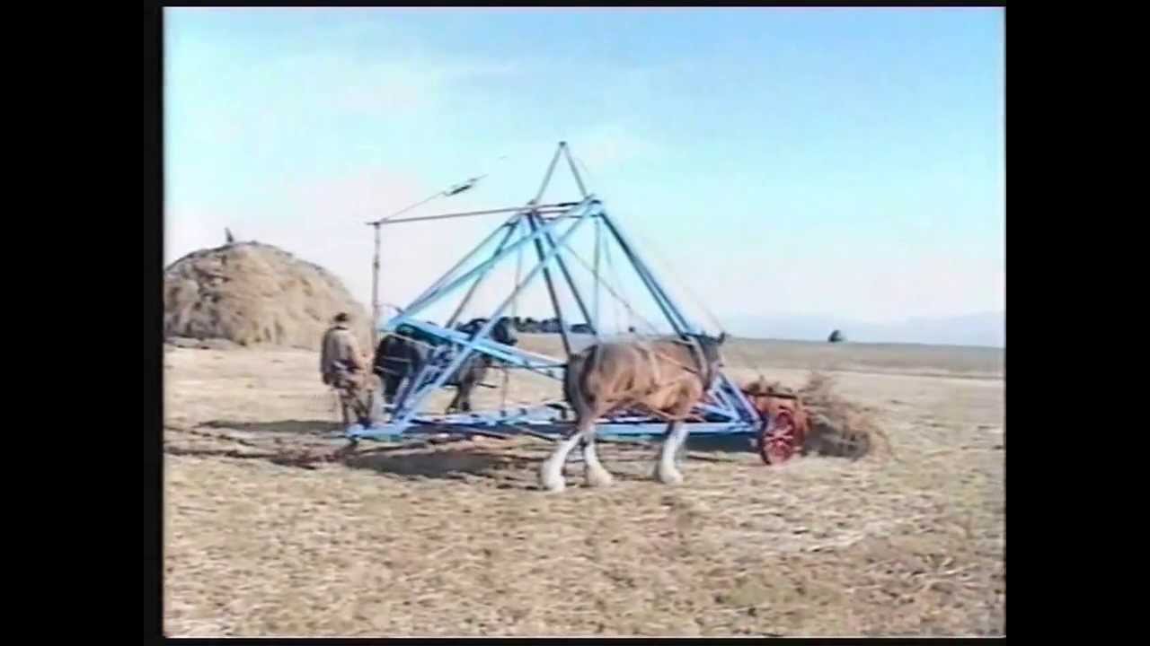 Hay stacking.