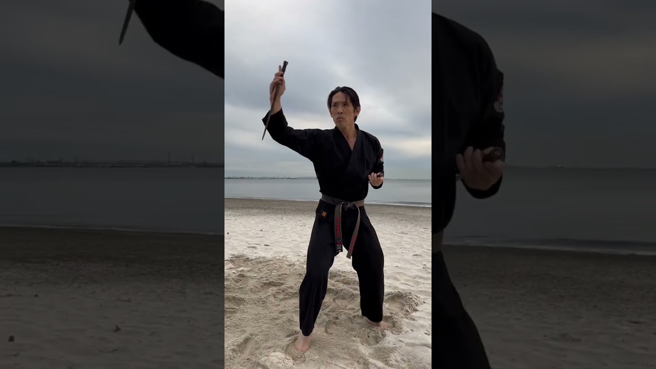 Sai practice on the beach | Ryukyu Kobudo, Japanese Martial arts #shorts