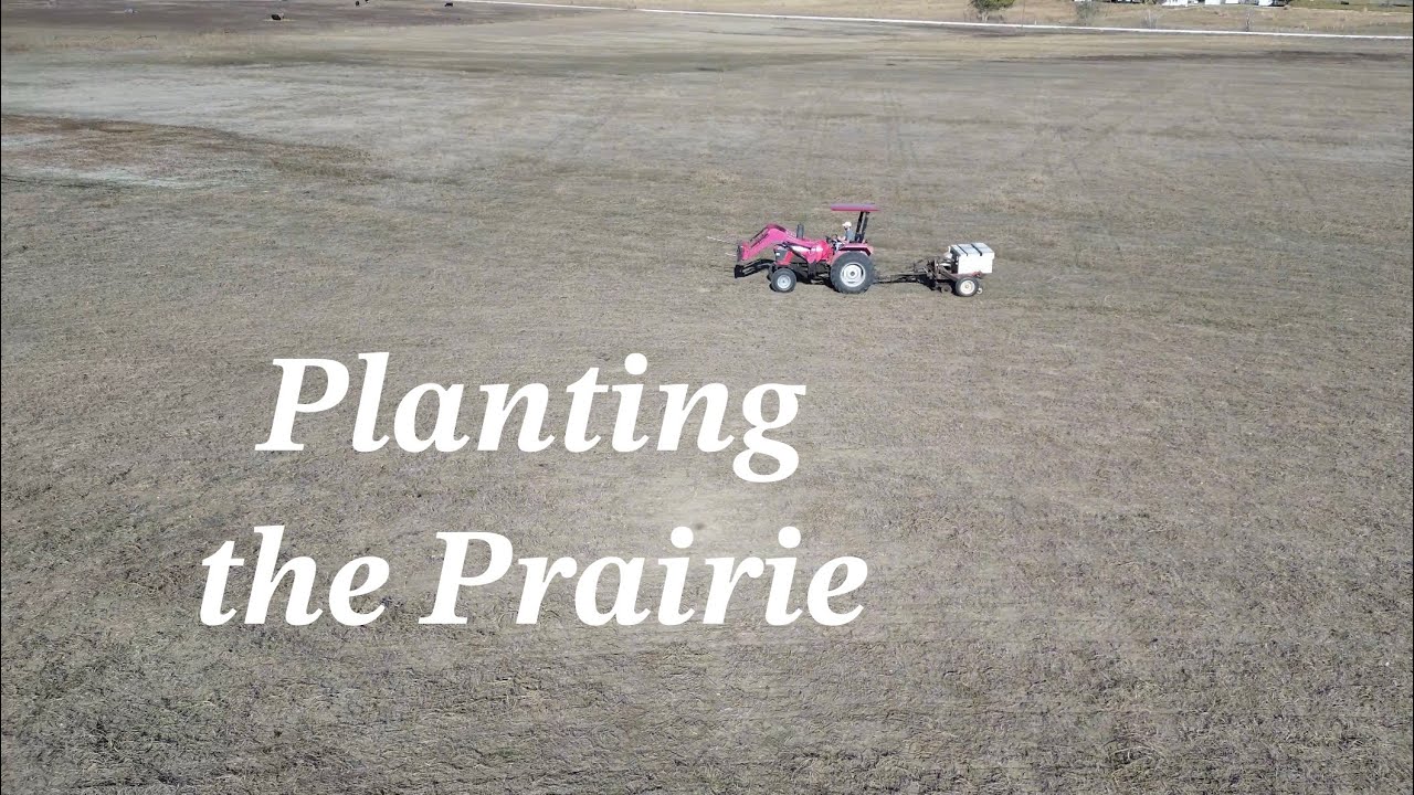 Planting the Native Prairie Seed Mix - Restoration Begins - November 30, 2024
