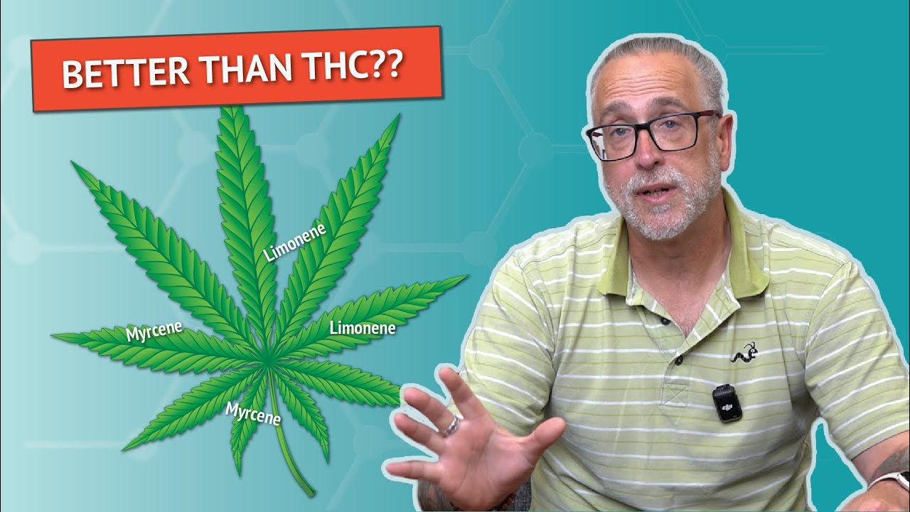 Better Than THC? How Terpene Testing Is Changing Cannabis and Hemp