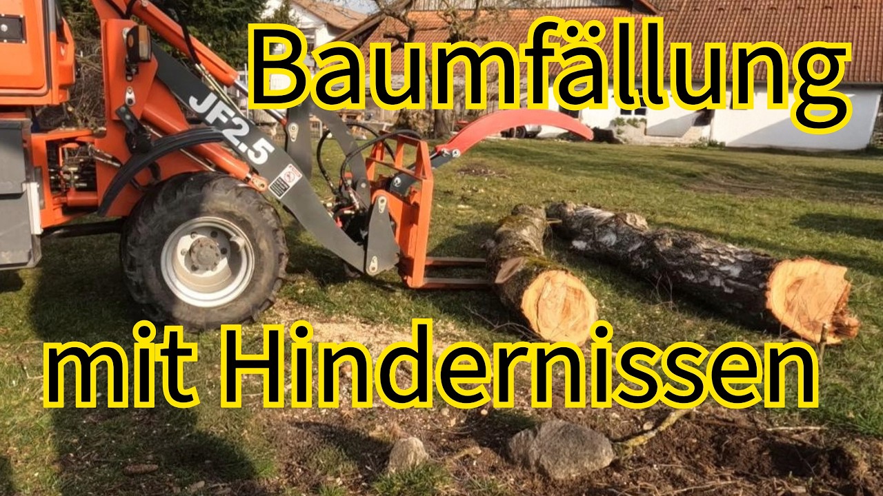 Kein Platz für Fehler: 15 Meter Baum vs. 2 Meter Lücke.
