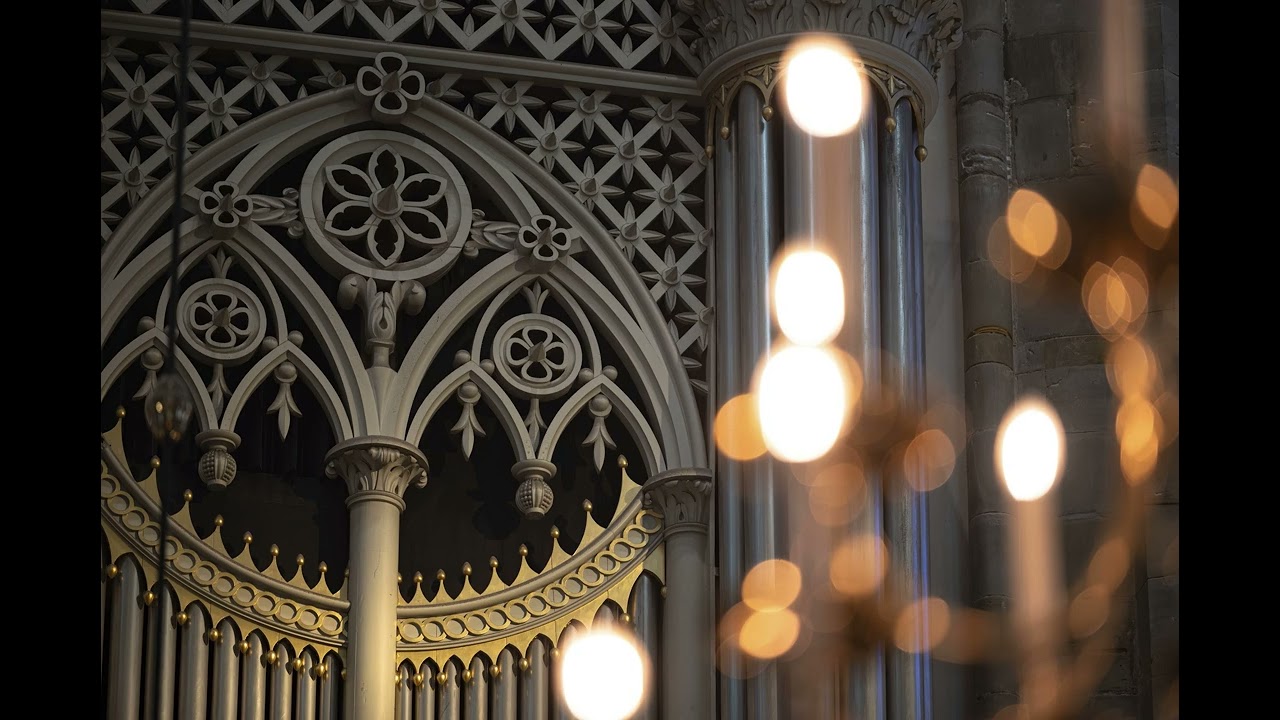 Psalm 26 | Wat blijdschap smaakt mijn ziel... | Aria & Koraal | Domkerk Utrecht